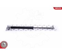 Ammortizzatore pneumatico, Cofano motore per NISSAN MAXIMA / MAXIMA QX