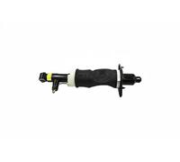 Ammortizzatore pneumatico posteriore Dx 66160001201 vika per AUDI ALLROAD C5