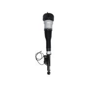 Puntone per sospensione pneumatica MAGNUM TECHNOLOGY APM015MT