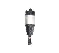 Ammortizzatore pneumatico posteriore Ponte superiore APL015MT Magnum Technology