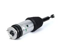 1x Gamba elastica con ammortiz. Arnott Posteriore per TESLA MODEL