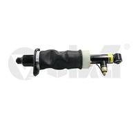 Ammortizzatore pneumatico posteriore Sx 66160001101 vika per AUDI ALLROAD C5