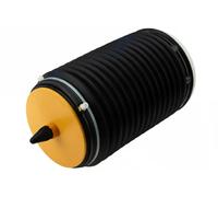 NTY Gamba elastica con ammortiz. pneumatico compatibile con AUDI VAG EZC-AU-187