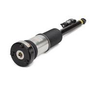 Arnott Ammortizzatore pneumatico posteriore sinistro AS-2822 per MERCEDES-BENZ