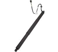 Ammortizzatore Portellone Posteriore Elettrico Supporto Portellone Posteriore Elettrico Ammortizzatori A Gas Per Jaguar Per F-Pace X761 2016 2017 2018 2019 HK 8370354 AA(Rear Left)
