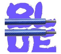 Ammortizzatore Portellone Posteriore Per Ford Per Focus Per RS Per Mk2 Hatchback 2009-2011 A Gas Per Bagagliaio Supporto Sollevamento Molle a Gas Portellone(BLUE CARBON FIBER)