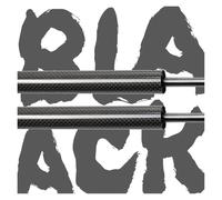 Ammortizzatore Portellone Posteriore Per Ford Per Focus Per RS Per Mk2 Hatchback 2009-2011 A Gas Per Bagagliaio Supporto Sollevamento Molle a Gas Portellone(BLACK CARBON FIBER)