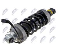 Ammortizzatore Assale posteriore Dx Occhiello inferiore A-AU-013 NTY per AUDI R8