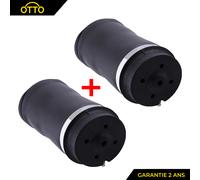 Ammortizzatore Posteriore CLASSE R W251 Sospensione Cuscino Aria A2513200425