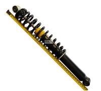 Ammortizzatore posteriore dx sx chatenet CH26