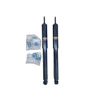 Coppia Ammortizzatori ad Olio Posteriori Destro + Sinistro per Renault 19 R19