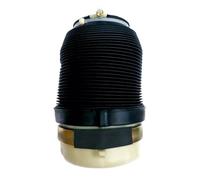 Ammortizzatore Pressione 1 Pz. Molla Per Sospensione Pneumatica Posteriore Per A6 4F C6 Allroad Quattro 2004-2011 4F0616001 4F0616001J 4F0 616 001J(Posteriore destro)