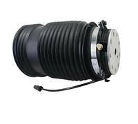 Ammortizzatore Pressione Molla Sospensione Pneumatica Posteriore Sinistra/destra Per Benz Per W213 E180 E200 E300 E400 C253/X253 2015-2021 Per GLC GLS300(Posteriore sinistro)