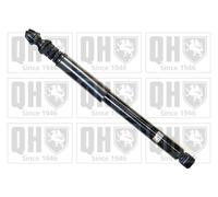 Ammortizzatore QUINTON HAZELL QAG181169 per RENAULT CLIO