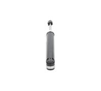 Kavo Parts Ammortizzatore Posteriore SSA-10223 A Gas Occhiello Inferiore per Renault Clio II