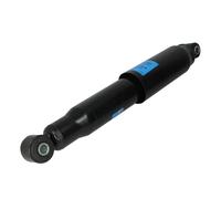 SACHS 290 030 Ammortizzatore per Fiat Doblo Cassone/Limousine Spaziosa (223_) 2000 - Assale anteriore, Assale Posteriore e altri veicoli