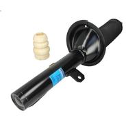 Ammortizzatore SACHS 313 500 FORD TRANSIT Furgone (FA_ _) 2.3 2006-2014