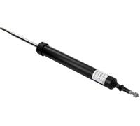 Ammortizzatore SACHS 313 933