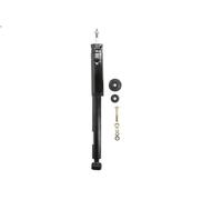 Ammortizzatore SACHS 317 257