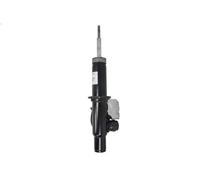 Ammortizzatore SACHS 319 114 per BMW X6 (E71, E72) 3 2007-2010