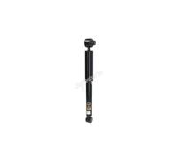 Ammortizzatore singolo assale posteriore JAPANPARTS MM-00412