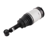 Ammortizzatore sospension Pneumatica Posteriore for Range Rover Sport L320