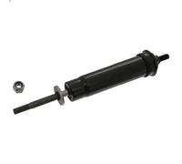 Ammortizzatore, sospensione cabina di guida FEBI 101972 per T 11.705 2004-2005