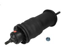 Ammortizzatore, sospensione cabina di guida MONROE CB0172 T 11.705 2004-2005