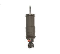 Ammortizzatore, sospensione cabina di guida MONROE CB0195 per T 15.607 2004-2005