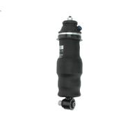 Ammortizzatore, sospensione cabina di guida MONROE CB0207 per T 12.777 2013-
