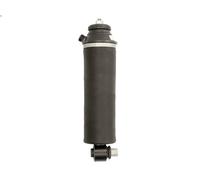 Ammortizzatore, sospensione cabina di guida MONROE CB021 per C 10.837 2013-