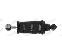 Ammortizzatore, sospensione cabina di guida MONROE CB0300 TGL I 4.58 2005-2022