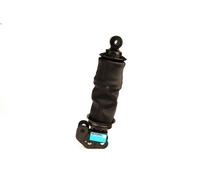 Ammortizzatore, Sospensione cabina SACHS 313 072 per PREMIUM 6.18 1996-
