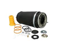Ammortizzatore Sospensione Pneumatico Anteriore Destro Per Land Rover - LR032563