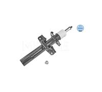 Ammortizzatore Sospensione Posteriore Per Ford Mondeo III 1121965 1130112