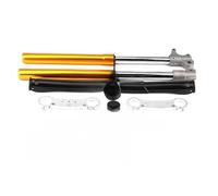 Ammortizzatore Sospensione Set di sospensioni ammortizzatore invertito forcella anteriore per 47cc 49cc a due tempi per la modifica motociclette per mini fuoristrada