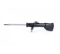 Monroe 16455 Ammortizzatore, Set di 2