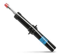 Ammortizzatore SACHS 315 312