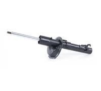 Ammortizzatore MONROE G16275