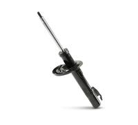 Ammortizzatore MONROE G16387