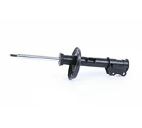 Monroe G8209 Ammortizzatore, Set di 2