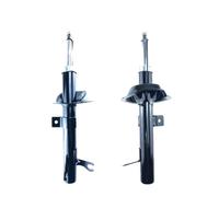 NTY Ammortizzatore A-FR-012 anteriore sinistro - a gas per Ford