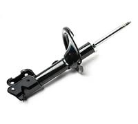Ammortizzatore Spoiler anteriore OYO20A0585-OYO OYODO