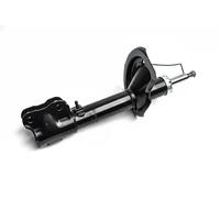 Ammortizzatore Spoiler anteriore OYO20A5039-OYO OYODO