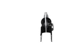 KAVO PARTS SSA-10563 Ammortizzatore