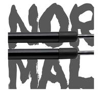 Ammortizzatore Supporto Ammortizzatore A Gas Molle A Gas Per Cofano Anteriore Per Espace V Per JFC MPV 2015-2023 Ammortizzatori Cofano Motore(Normal Black)