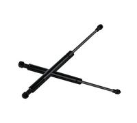 Ammortizzatore Supporto Per Ammortizzatori A Gas Per Cofano Anteriore Da 2 Pezzi Per BMW Serie 5 E60 E61 2003 2004 2005 2006 2007 2008 2009 2010 Molla a Gas