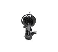 KAVO PARTS Ammortizzatore