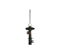 Ammortizzatore TRW JGM1349SL
