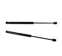 Ammortizzatori Cofano Motore Per BMW Serie 3 E36 1991 1992 1993 1994 1995 1996 1997 1998 1999-2000 Ammortizzatori A Gas Cofano Anteriore 51231960852 320N Molle A Gas
